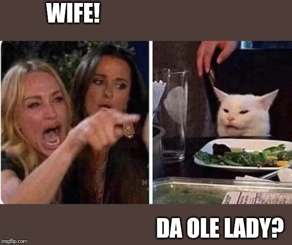 Confused Cat at Dinner | WIFE! DA OLE LADY? | image tagged in confused cat at dinner | made w/ Imgflip meme maker