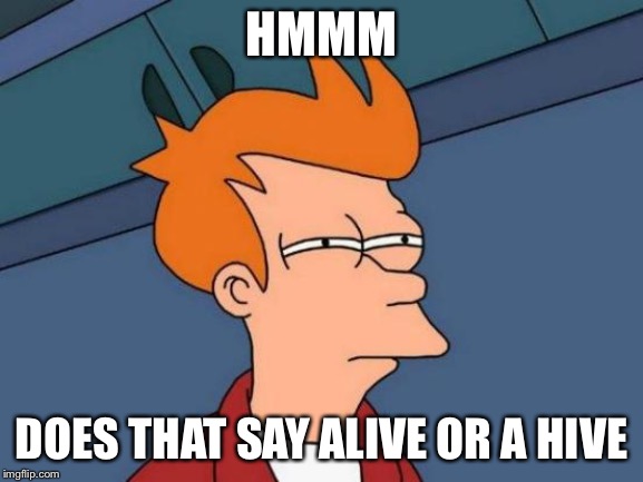 Hmm | HMMM; DOES THAT SAY ALIVE OR A HIVE | image tagged in memes,futurama fry | made w/ Imgflip meme maker
