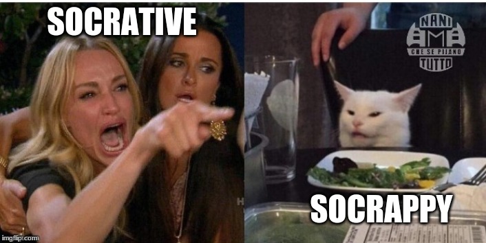 white cat table | SOCRATIVE; SOCRAPPY | image tagged in white cat table | made w/ Imgflip meme maker