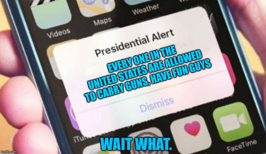 Presidential Alert | EVERY ONE IN THE UNITED STATES ARE ALLOWED TO CARRY GUNS, HAVE FUN GUYS; WAIT WHAT. | image tagged in memes,presidential alert | made w/ Imgflip meme maker