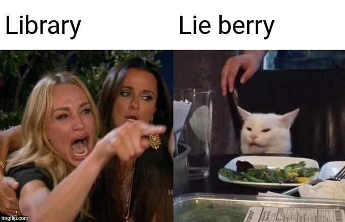 Woman Yelling At Cat | Library; Lie berry | image tagged in memes,woman yelling at a cat | made w/ Imgflip meme maker