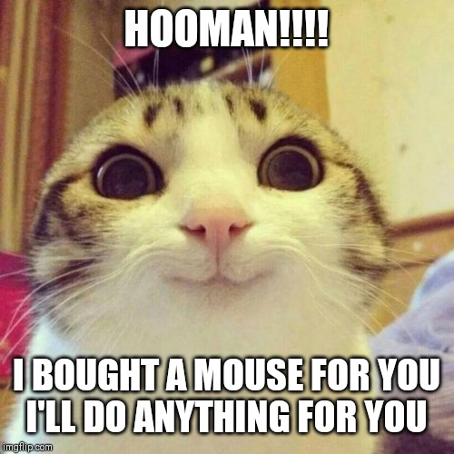 Smiling Cat Meme | HOOMAN!!!! I COUGHT A MOUSE FOR YOU
I'LL DO ANYTHING FOR YOU | image tagged in memes,smiling cat | made w/ Imgflip meme maker