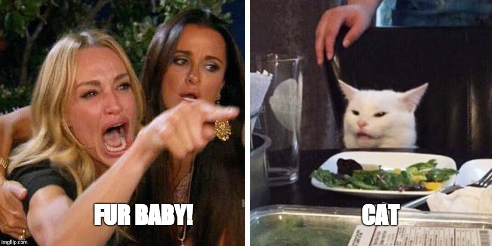 Smudge the cat | FUR BABY!                                       CAT | image tagged in smudge the cat | made w/ Imgflip meme maker