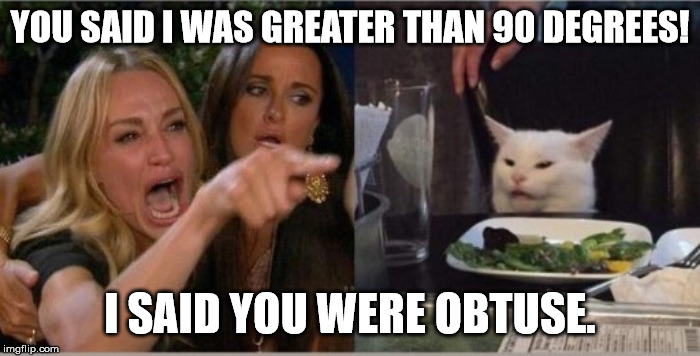 Didactic Cat | YOU SAID I WAS GREATER THAN 90 DEGREES! I SAID YOU WERE OBTUSE. | image tagged in cat meme | made w/ Imgflip meme maker