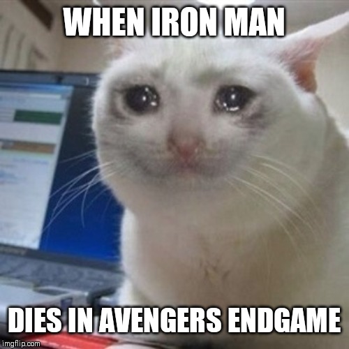 Crying cat | WHEN IRON MAN; DIES IN AVENGERS ENDGAME | image tagged in crying cat | made w/ Imgflip meme maker