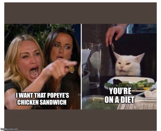 Woman yelling at cat | image tagged in popeyes | made w/ Imgflip meme maker