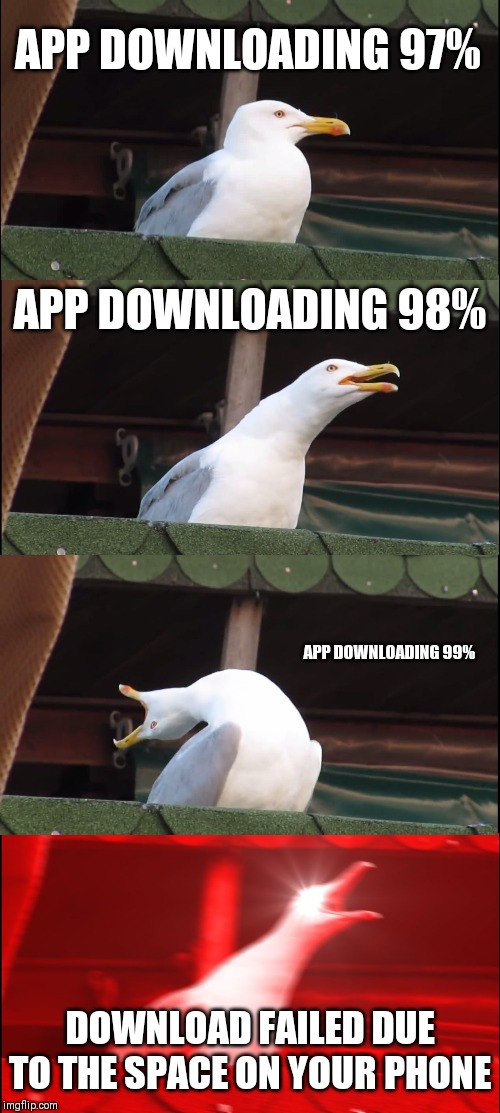 Inhaling Seagull Meme | APP DOWNLOADING 97%; APP DOWNLOADING 98%; APP DOWNLOADING 99%; DOWNLOAD FAILED DUE TO THE SPACE ON YOUR PHONE | image tagged in memes,inhaling seagull | made w/ Imgflip meme maker