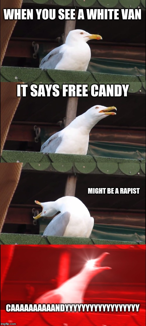 Inhaling Seagull Meme | WHEN YOU SEE A WHITE VAN; IT SAYS FREE CANDY; MIGHT BE A RAPIST; CAAAAAAAAAANDYYYYYYYYYYYYYYYYYY | image tagged in memes,inhaling seagull | made w/ Imgflip meme maker