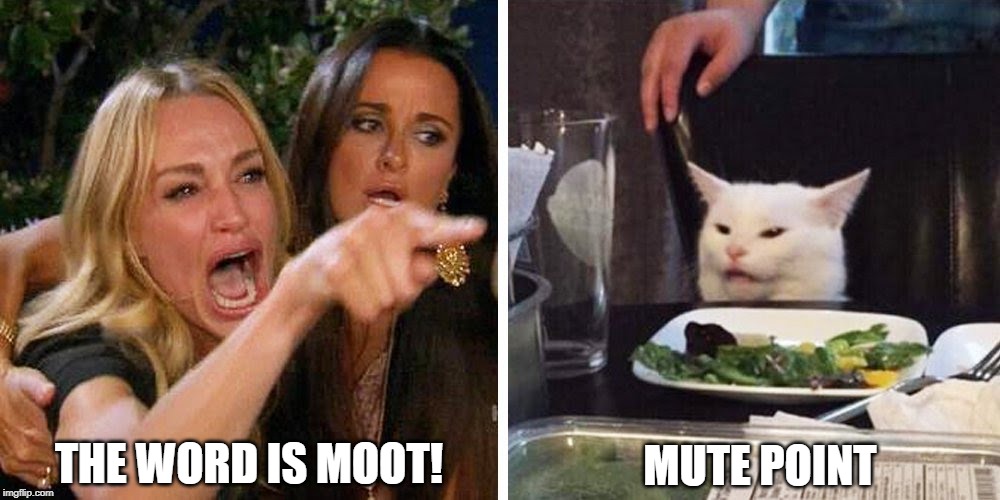Smudge the cat | MUTE POINT; THE WORD IS MOOT! | image tagged in smudge the cat | made w/ Imgflip meme maker