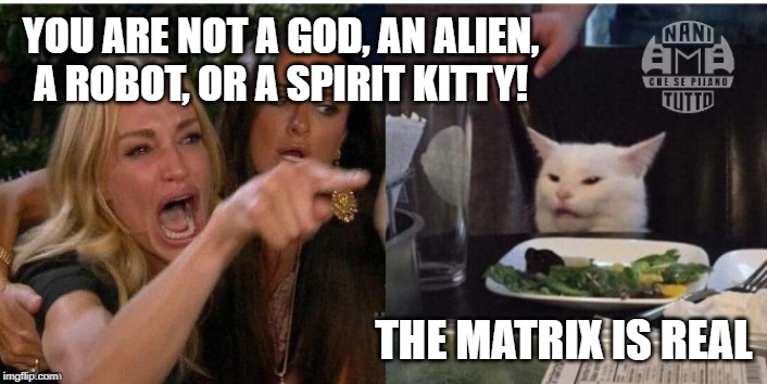 white cat table | YOU ARE NOT A GOD, AN ALIEN, A ROBOT, OR A SPIRIT KITTY! THE MATRIX IS REAL | image tagged in white cat table | made w/ Imgflip meme maker