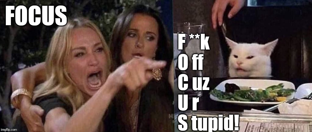 woman yelling at cat | FOCUS; F **k
O ff
C uz
U r
S tupid! | image tagged in woman yelling at cat | made w/ Imgflip meme maker