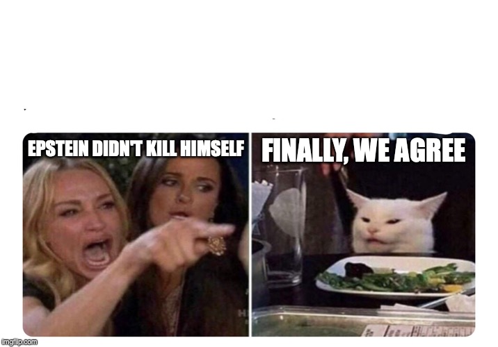Housewives cat | FINALLY, WE AGREE; EPSTEIN DIDN'T KILL HIMSELF | image tagged in housewives cat | made w/ Imgflip meme maker