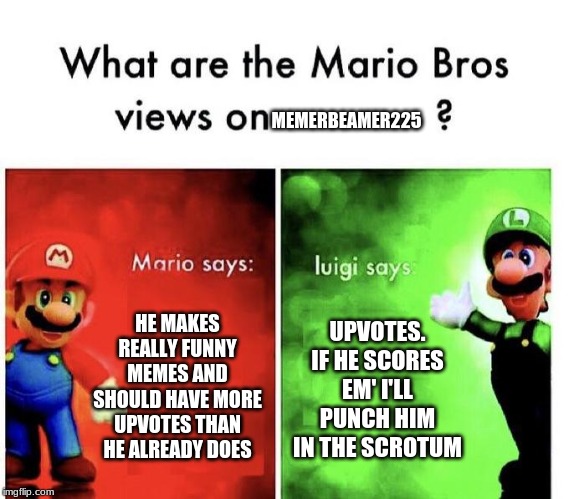 Mario Bros Views | MEMERBEAMER225; HE MAKES REALLY FUNNY MEMES AND SHOULD HAVE MORE UPVOTES THAN HE ALREADY DOES; UPVOTES. IF HE SCORES EM' I'LL PUNCH HIM IN THE SCROTUM | image tagged in mario bros views | made w/ Imgflip meme maker