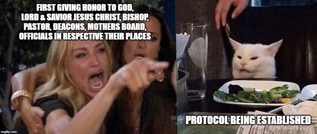 woman yelling at cat | FIRST GIVING HONOR TO GOD, LORD & SAVIOR JESUS CHRIST, BISHOP, PASTOR, DEACONS, MOTHERS BOARD, OFFICIALS IN RESPECTIVE THEIR PLACES; PROTOCOL BEING ESTABLISHED | image tagged in woman yelling at cat | made w/ Imgflip meme maker