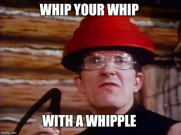 Devo | WHIP YOUR WHIP; WITH A WHIPPLE | image tagged in devo | made w/ Imgflip meme maker