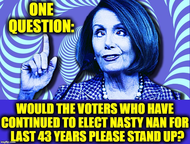 I can understand a husband & relatives, but who are the others? | ONE QUESTION:; WOULD THE VOTERS WHO HAVE CONTINUED TO ELECT NASTY NAN FOR     LAST 43 YEARS PLEASE STAND UP? | image tagged in vince vance,nancy pelosi,california,voters,treason | made w/ Imgflip meme maker