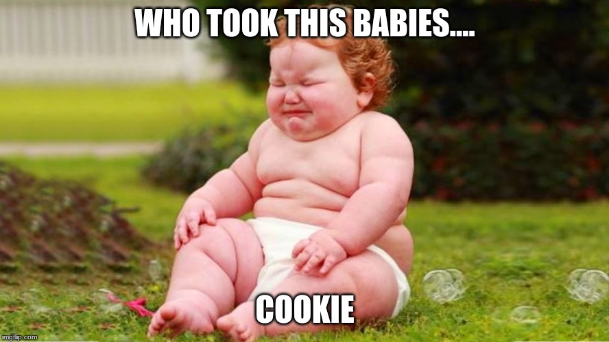 WHO TOOK THIS BABIES.... COOKIE | image tagged in funny | made w/ Imgflip meme maker