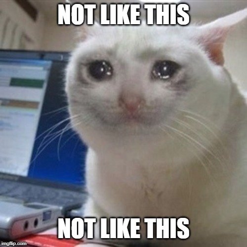 Crying cat | NOT LIKE THIS; NOT LIKE THIS | image tagged in crying cat | made w/ Imgflip meme maker