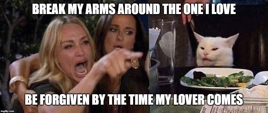 woman yelling at cat | BREAK MY ARMS AROUND THE ONE I LOVE; BE FORGIVEN BY THE TIME MY LOVER COMES | image tagged in woman yelling at cat | made w/ Imgflip meme maker