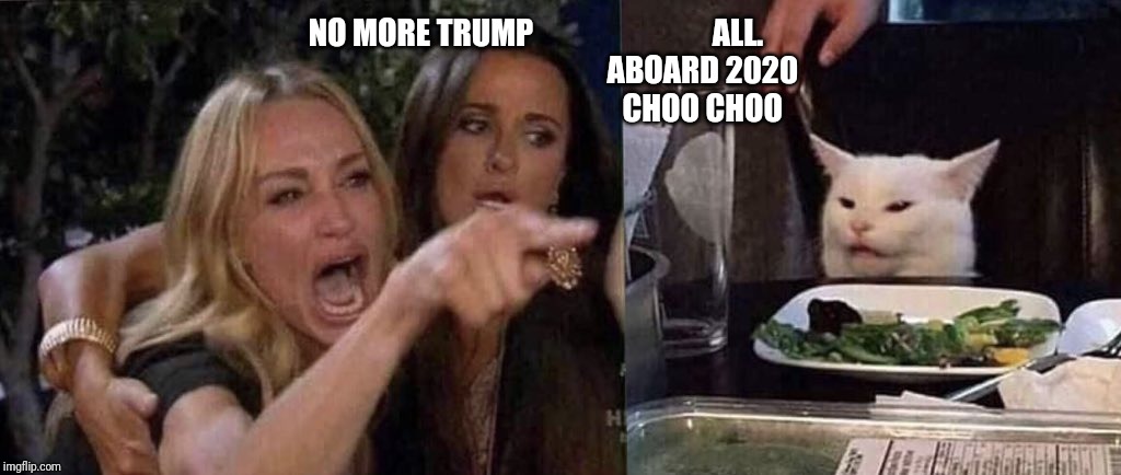 woman yelling at cat | NO MORE TRUMP                             ALL.        
                                              ABOARD 2020
                                              CHOO CHOO | image tagged in woman yelling at cat | made w/ Imgflip meme maker