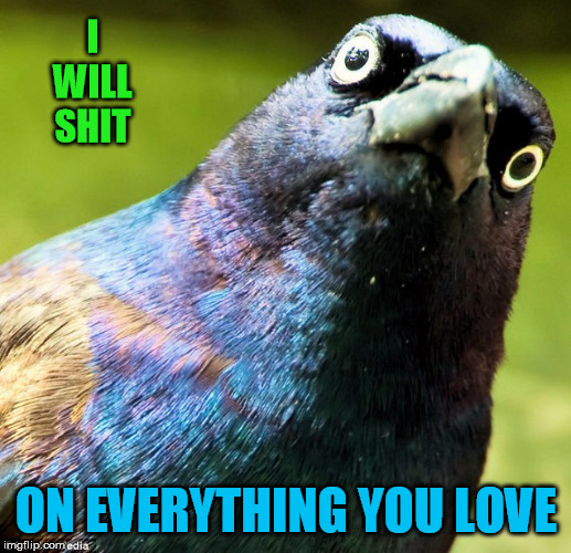 I
WILL
SHIT ON EVERYTHING YOU LOVE | made w/ Imgflip meme maker