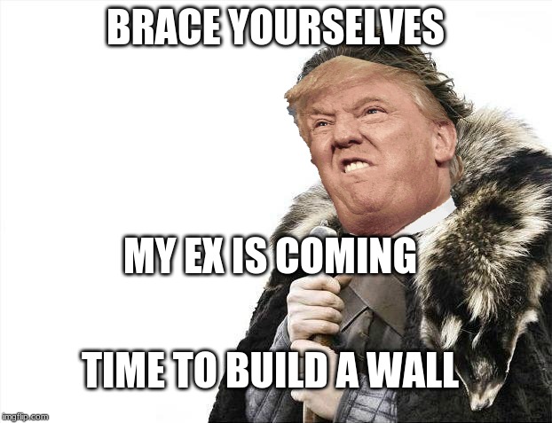 Brace Yourselves X is Coming | BRACE YOURSELVES; MY EX IS COMING; TIME TO BUILD A WALL | image tagged in memes,brace yourselves x is coming | made w/ Imgflip meme maker