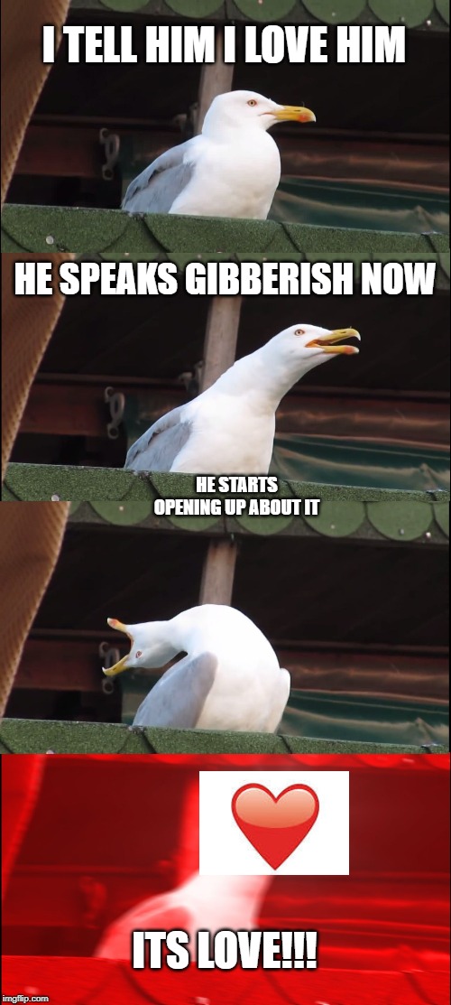 Inhaling Seagull Meme | I TELL HIM I LOVE HIM; HE SPEAKS GIBBERISH NOW; HE STARTS OPENING UP ABOUT IT; ITS LOVE!!! | image tagged in memes,inhaling seagull | made w/ Imgflip meme maker