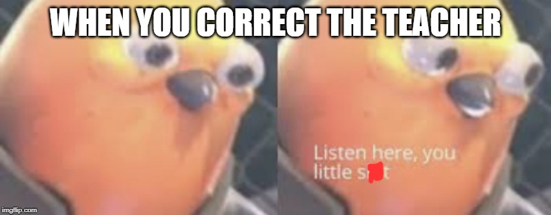 Listen here you little shit bird | WHEN YOU CORRECT THE TEACHER | image tagged in listen here you little shit bird | made w/ Imgflip meme maker