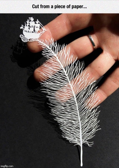 Paper Feather | image tagged in paper,feather,cool,interesting | made w/ Imgflip meme maker