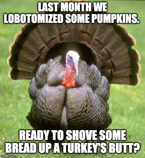 Turkey | LAST MONTH WE LOBOTOMIZED SOME PUMPKINS. READY TO SHOVE SOME BREAD UP A TURKEY'S BUTT? | image tagged in memes,turkey | made w/ Imgflip meme maker