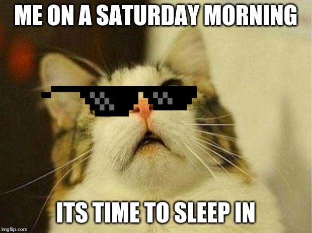Scared Cat Meme | ME ON A SATURDAY MORNING; ITS TIME TO SLEEP IN | image tagged in memes,scared cat | made w/ Imgflip meme maker