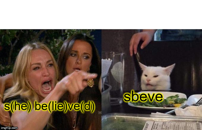 Woman Yelling At Cat Meme | sbeve; s(he) be(lie)ve(d) | image tagged in memes,woman yelling at a cat | made w/ Imgflip meme maker