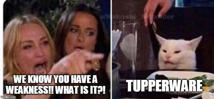Cat at table |  TUPPERWARE; WE KNOW YOU HAVE A WEAKNESS!! WHAT IS IT?! | image tagged in cat at table | made w/ Imgflip meme maker