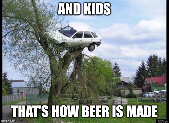Secure Parking Meme | AND KIDS; THAT’S HOW BEER IS MADE | image tagged in memes,secure parking | made w/ Imgflip meme maker