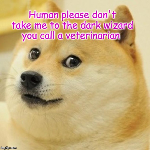 Doge Meme | Human please don't take me to the dark wizard you call a veterinarian | image tagged in memes,doge | made w/ Imgflip meme maker