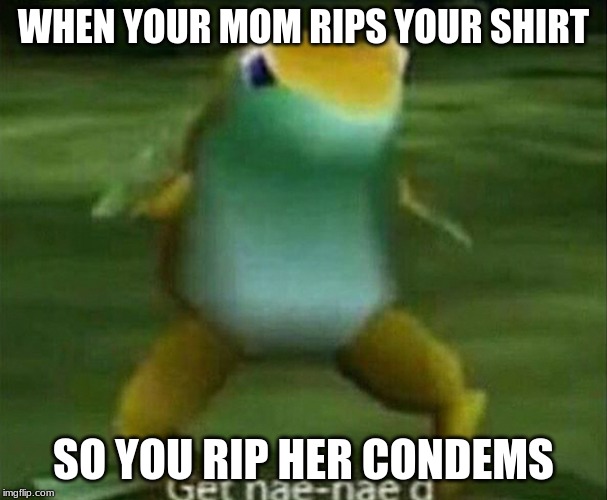 Get nae-nae'd | WHEN YOUR MOM RIPS YOUR SHIRT; SO YOU RIP HER CONDEMS | image tagged in get nae-nae'd | made w/ Imgflip meme maker