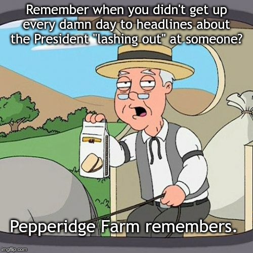 Pepperidge Farm Remembers | Remember when you didn't get up every damn day to headlines about the President "lashing out" at someone? Pepperidge Farm remembers. | image tagged in memes,pepperidge farm remembers | made w/ Imgflip meme maker