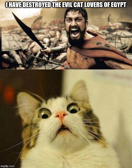 Don't hurt me | I HAVE DESTROYED THE EVIL CAT LOVERS OF EGYPT | image tagged in memes,sparta leonidas,scared cat | made w/ Imgflip meme maker