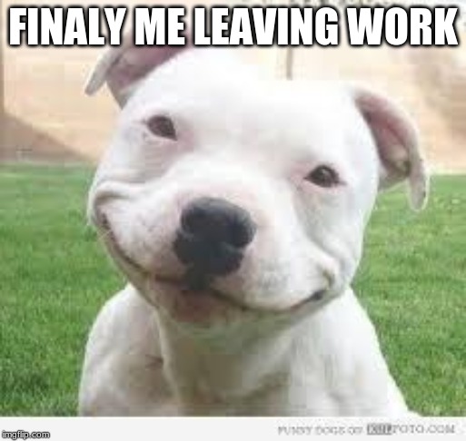 Happy Friday Puppy | FINALY ME LEAVING WORK | image tagged in happy friday puppy | made w/ Imgflip meme maker