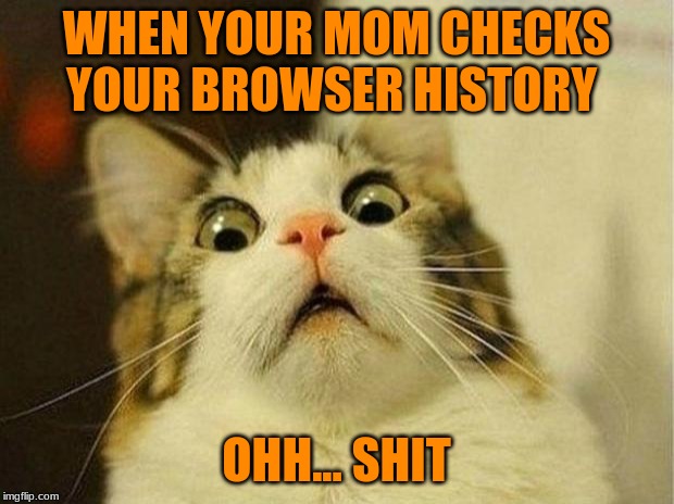 Scared Cat Meme | WHEN YOUR MOM CHECKS YOUR BROWSER HISTORY; OHH... SHIT | image tagged in memes,scared cat | made w/ Imgflip meme maker