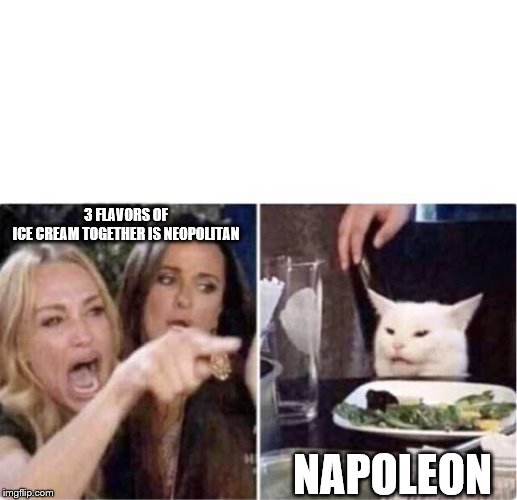 Real housewives screaming cat | 3 FLAVORS OF ICE CREAM TOGETHER IS NEOPOLITAN; NAPOLEON | image tagged in real housewives screaming cat | made w/ Imgflip meme maker