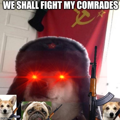 WE SHALL FIGHT MY COMRADES | image tagged in russian doge | made w/ Imgflip meme maker