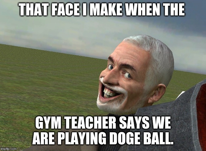 so true. | THAT FACE I MAKE WHEN THE; GYM TEACHER SAYS WE ARE PLAYING DOGE BALL. | image tagged in memes | made w/ Imgflip meme maker