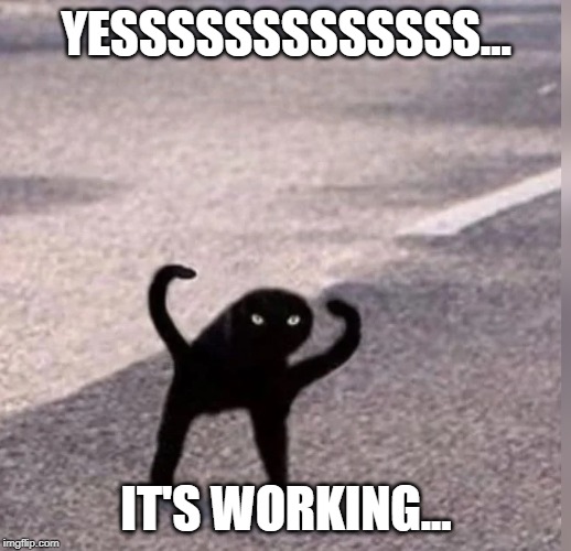 Cursed Cat | YESSSSSSSSSSSSS... IT'S WORKING... | image tagged in cursed cat | made w/ Imgflip meme maker