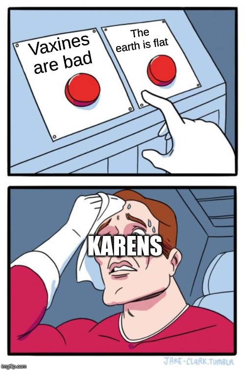 Two Buttons Meme | The earth is flat; Vaxines are bad; KARENS | image tagged in memes,two buttons | made w/ Imgflip meme maker