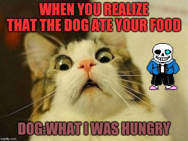 Scared Cat |  WHEN YOU REALIZE THAT THE DOG ATE YOUR FOOD; DOG:WHAT I WAS HUNGRY | image tagged in memes,scared cat | made w/ Imgflip meme maker