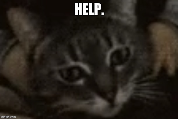 HELP. | made w/ Imgflip meme maker