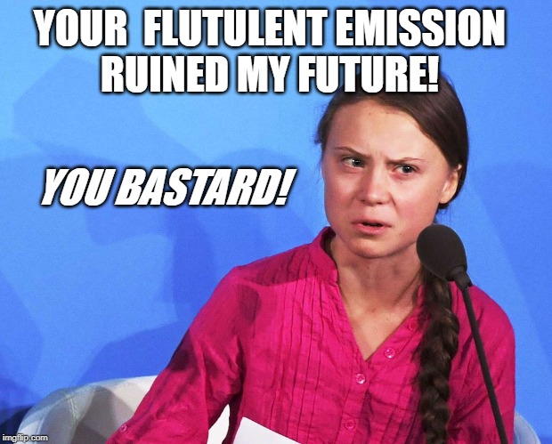 AngGreta Thunberg | YOUR  FLUTULENT EMISSION
RUINED MY FUTURE! YOU BASTARD! | image tagged in anggreta thunberg | made w/ Imgflip meme maker