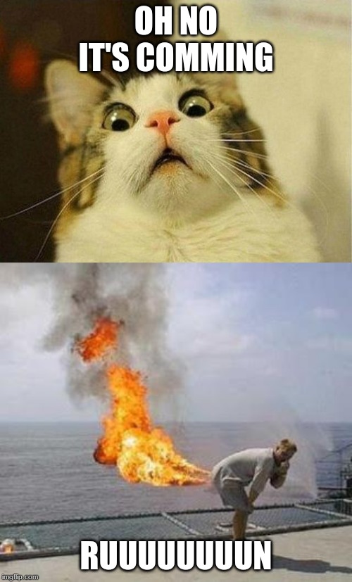 OH NO IT'S COMMING; RUUUUUUUUN | image tagged in memes,scared cat,fart | made w/ Imgflip meme maker