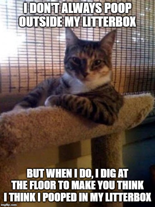 The Most Interesting Cat In The World | I DON'T ALWAYS POOP OUTSIDE MY LITTERBOX; BUT WHEN I DO, I DIG AT THE FLOOR TO MAKE YOU THINK I THINK I POOPED IN MY LITTERBOX | image tagged in memes,the most interesting cat in the world | made w/ Imgflip meme maker